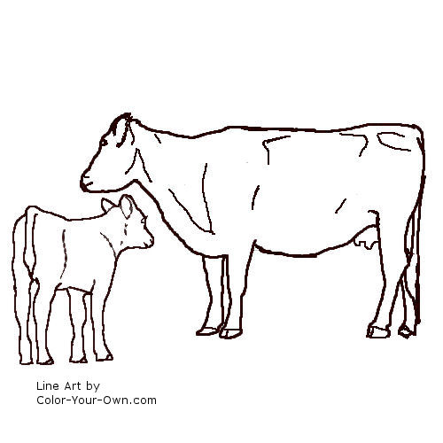 Angus cow and calf line art