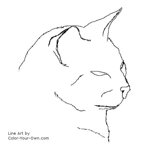 Siamese cat headstudy line art