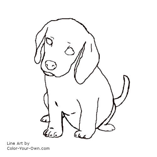 Beagle Puppy Line Art