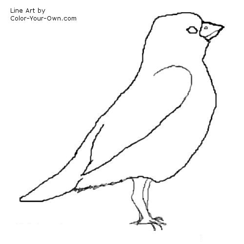 sparrow line drawing
