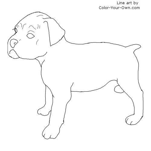 Boxer Puppy Line Art