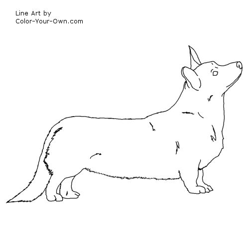 Cardigan Welsh Corgi Dog Line Art