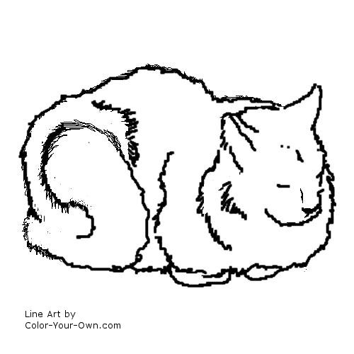 domestic longhair cat line art
