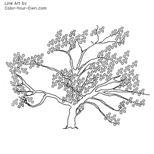 Cherry Blossum Tree Line Art