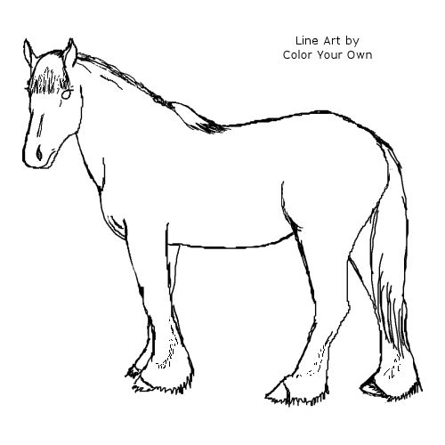 Clydesdale horse line art