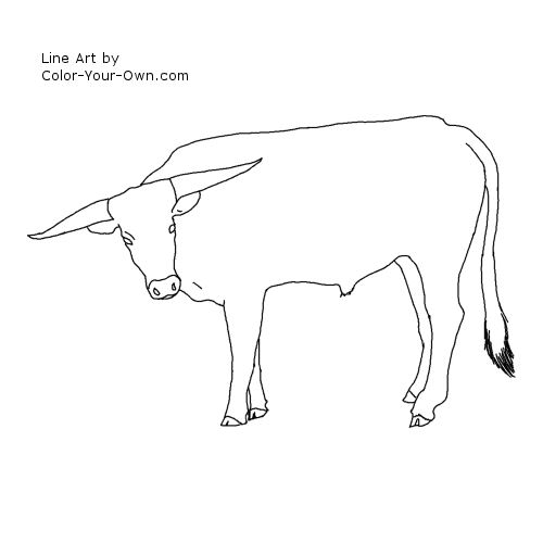 Longhorn Steer Line Art