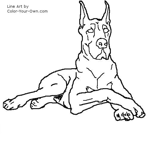 dog - Great Dane Line Art