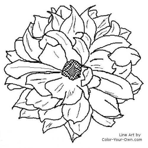 dahlia flower line art