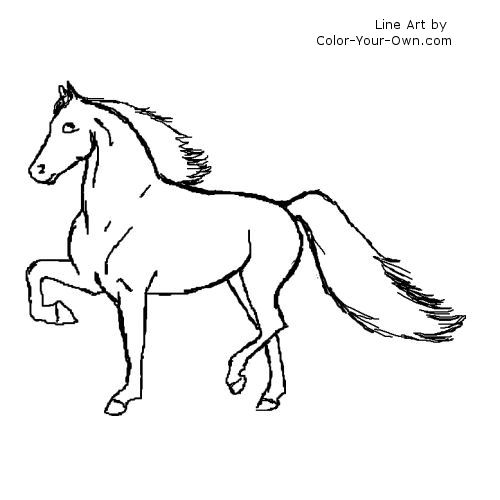 Morgan horse - gaited type Line art