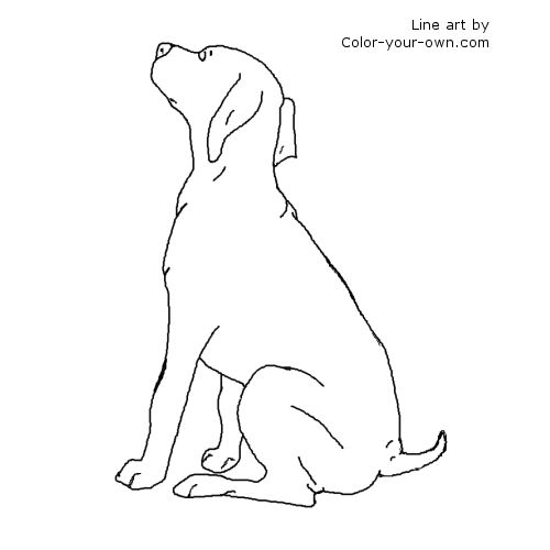 German Shorthair Pointer Puppy Line Art