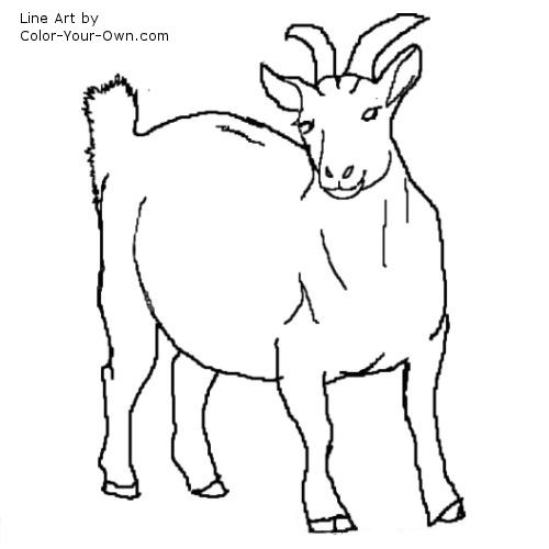Nigerian Pygmy Goat - nanny line art