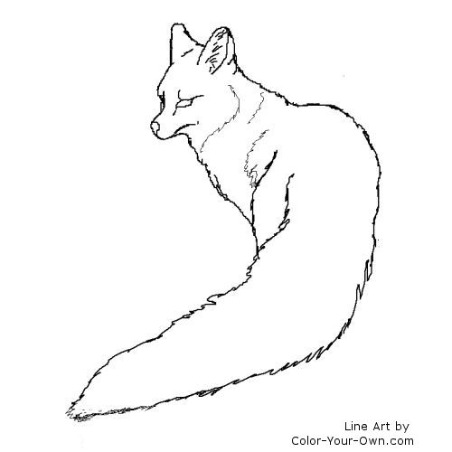 Grey Fox line art