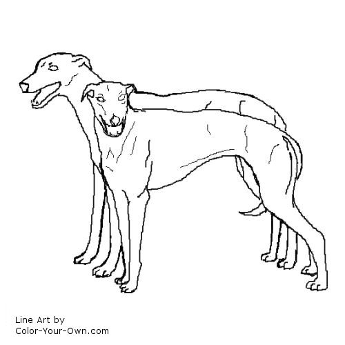 Pair of Greyhounds line art