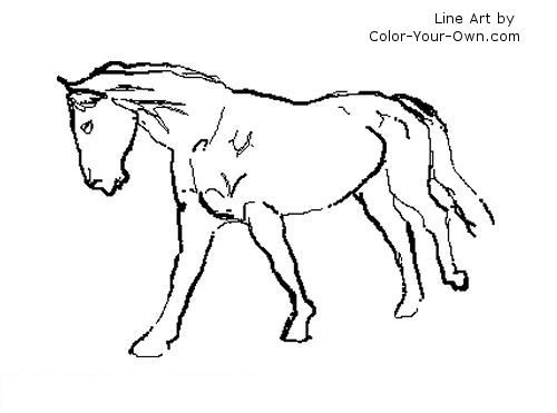 Warmblood horse line art
