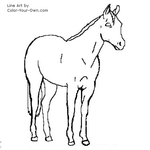 Stock Horse Mare Line art