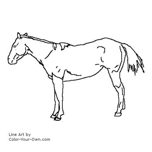 stock type horse line art