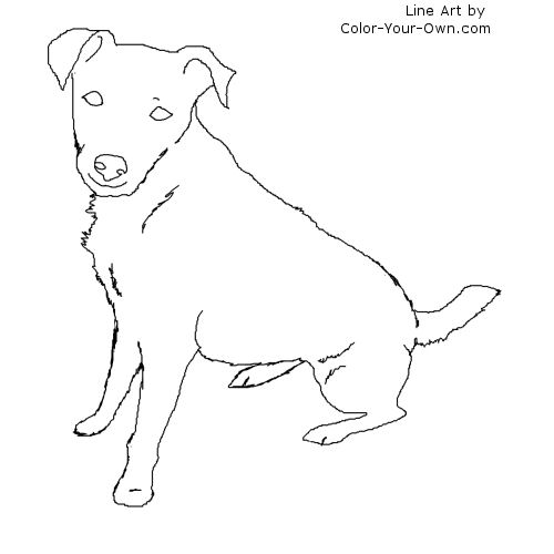 Sitting Jack Russell Terrier Line Art