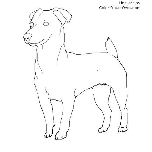 Standing Jack Russell Terrier Line Art