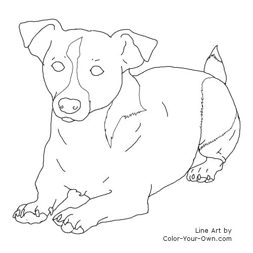 Jack Russel Terrier Laying Down Line Art