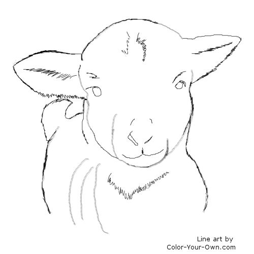 Lamb line art