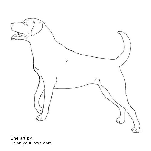 Black Lab Dog Line Art