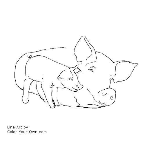Sow and Piglet line art