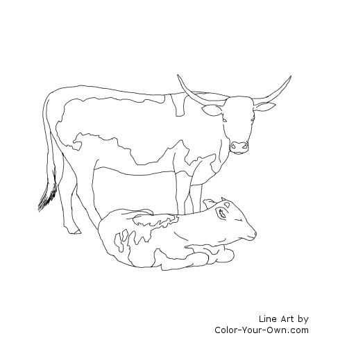 Longhorn Cow and Calf Line Art