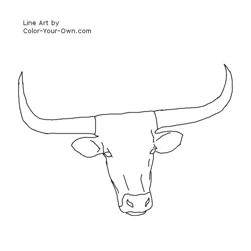 Longhorn Cattle Headstudy Line Art