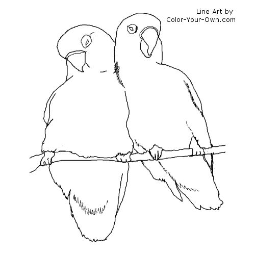 Love Birds Line Art