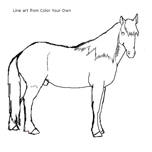 Mustang Stallion Line Art