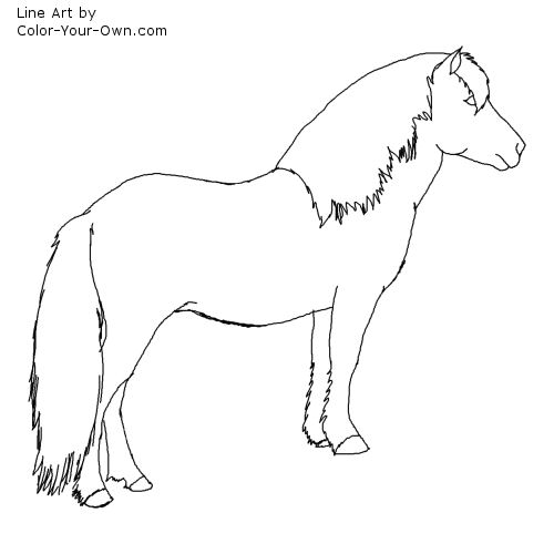 Newfoundland Pony Stallion Line Art
