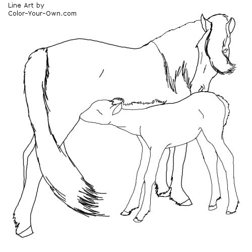 Newfoundland Pony Mare and Foal Line Art