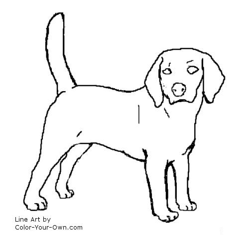 Beagle dog line art