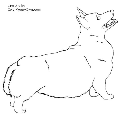 Pembroke Corgi Dog Line Art