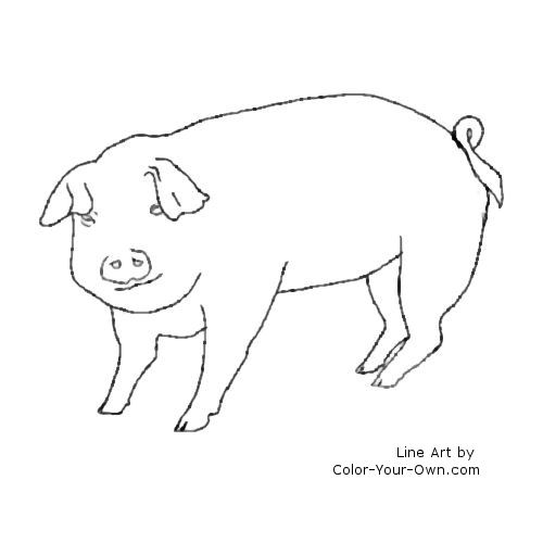 Pig line art