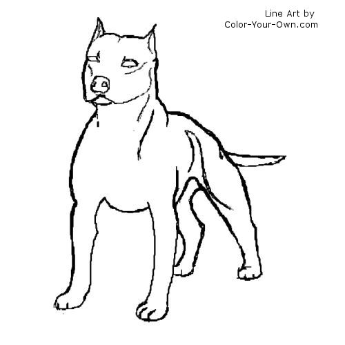 American Staffordshire Terrier or Pit Bull Terrier Line Art