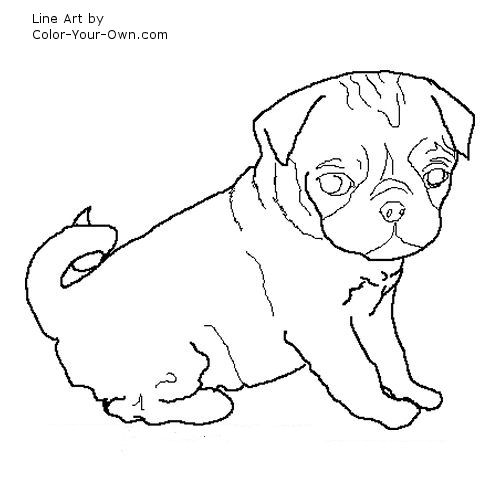 pug puppy line art