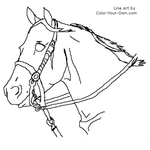 roping horse line art