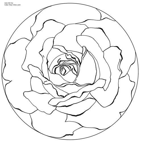 Rose Mandala Line Art
