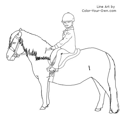 Pony Club Rider line art