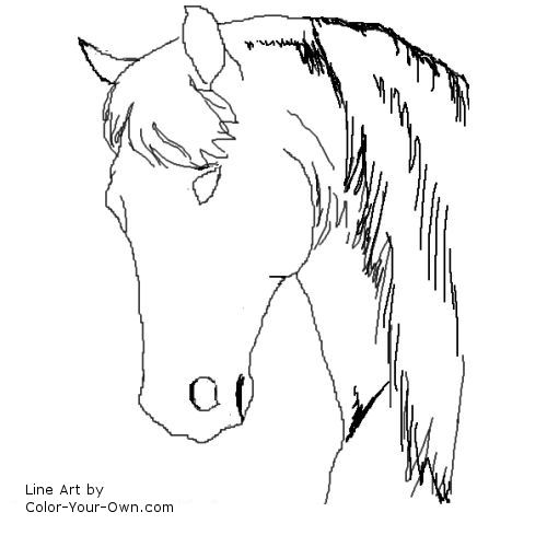 head study - Spanish type horse line art