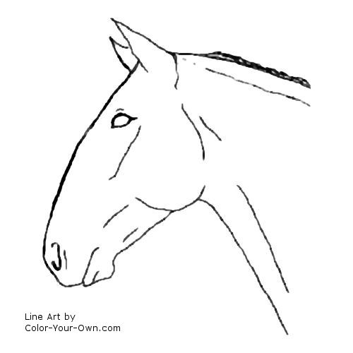 Standardbred Horse Headstudy Line Art