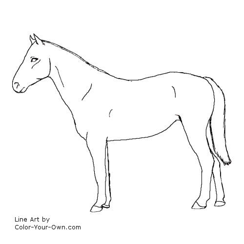 Standardbred horse line art