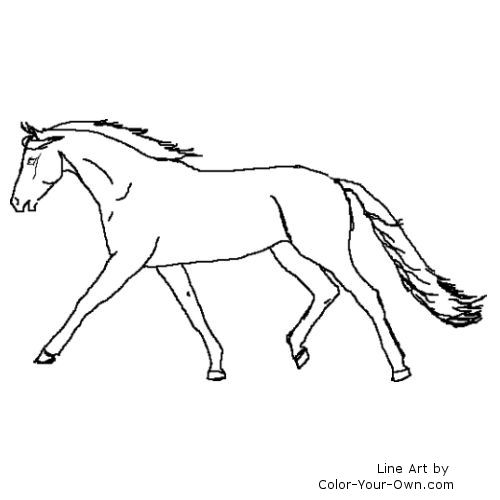 Warmblood  showing off Extended Trot line art