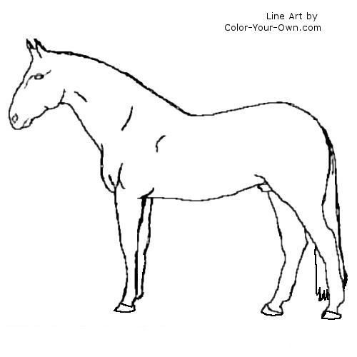 Warmblood horse stallion line art