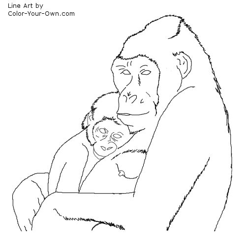Mother and Baby Gorilla Line Art