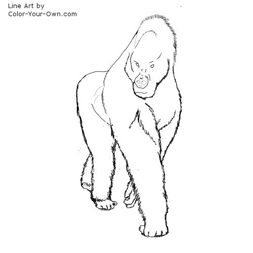 Male Gorilla Line Art