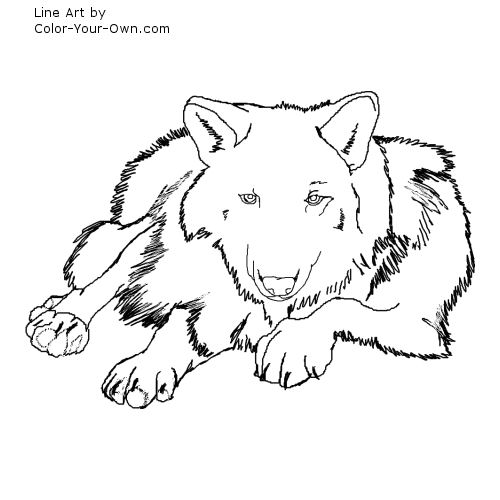 Wolf Laying Down Line Art