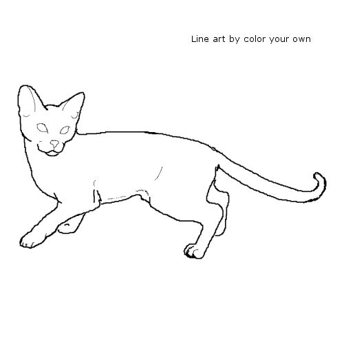 Abyssinian Cat Line Art