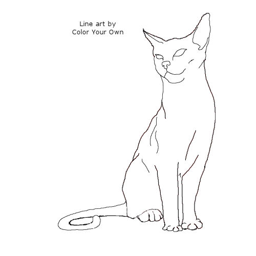 Abyssinian Cat line art